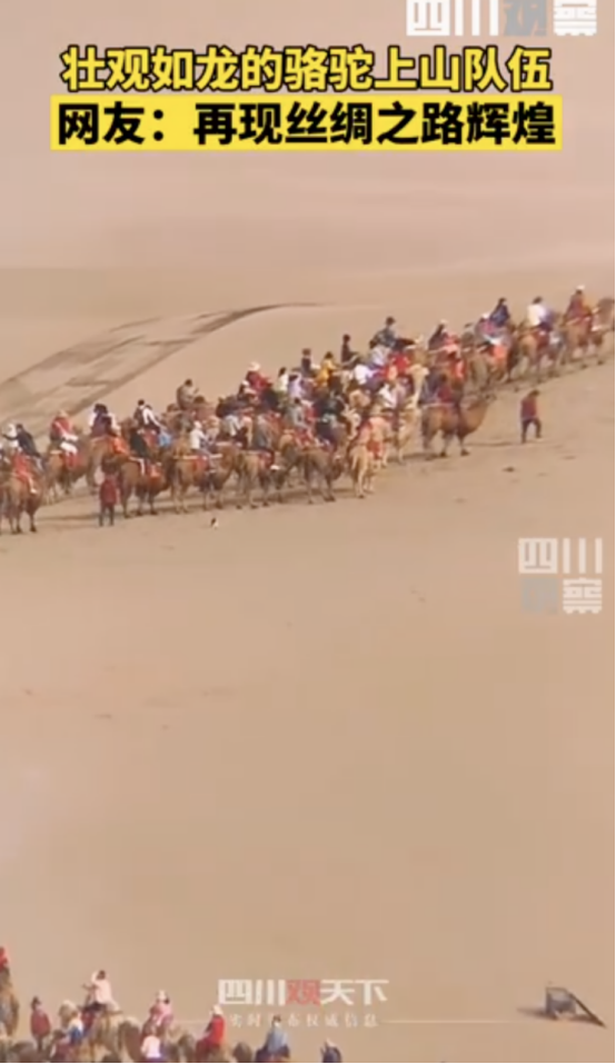 痛心！电梯按钮失效，13岁男孩自救失败坠亡【三分钟法治新闻全知道】