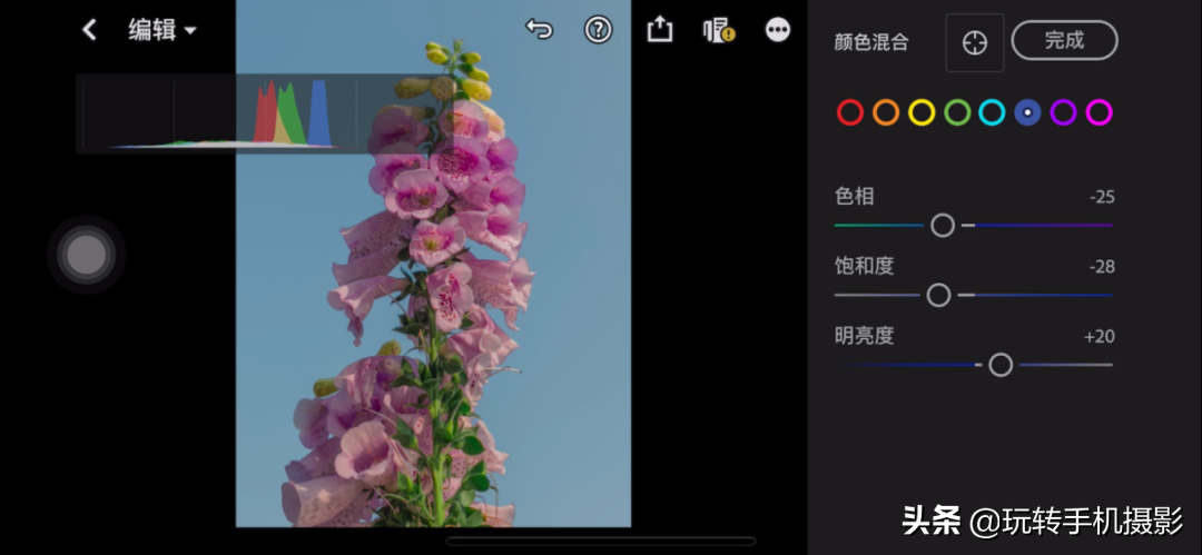 拍花后期！调色用对了，就很有春天的感觉