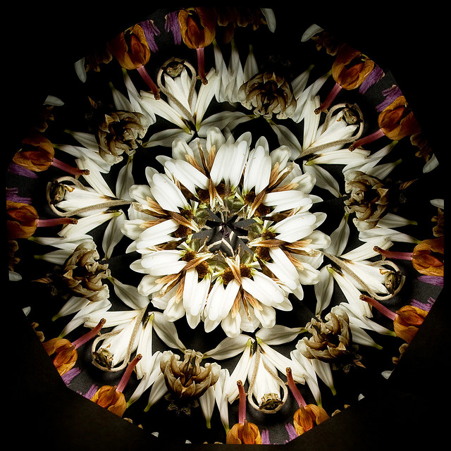 DIY自制万花筒，简单易学的摄影小创意就怕你不知道