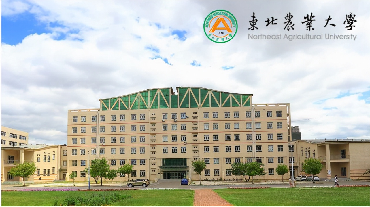 2022年春季济南市东北农业大学如何报名