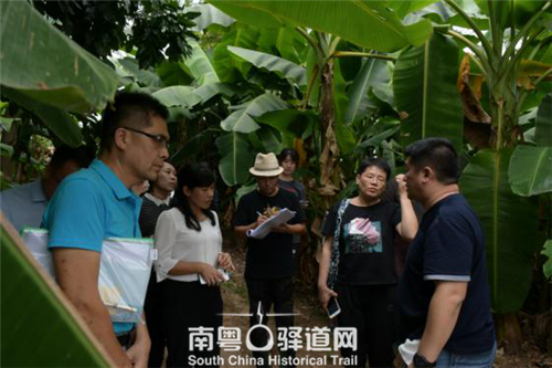 华南教育历史研学基地（坪石）设计回顾