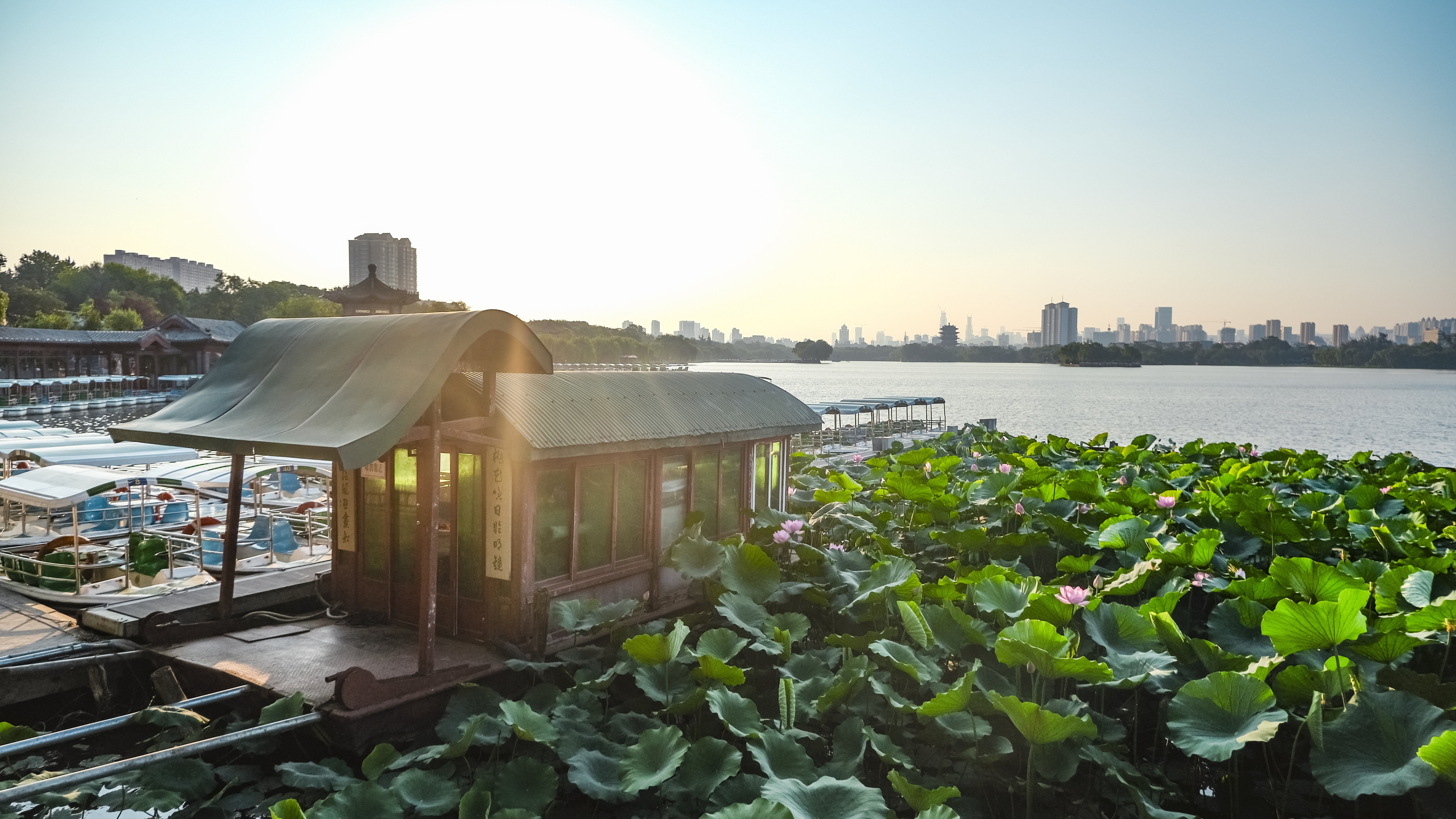 夏末初秋，大明湖的风景，这样看才浪漫！