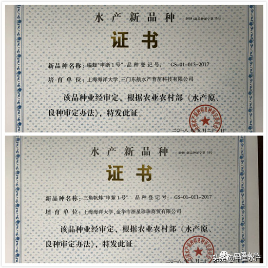 从“谁来养活中国”到“水产养殖业对世界是一个重大贡献”的伟大进步