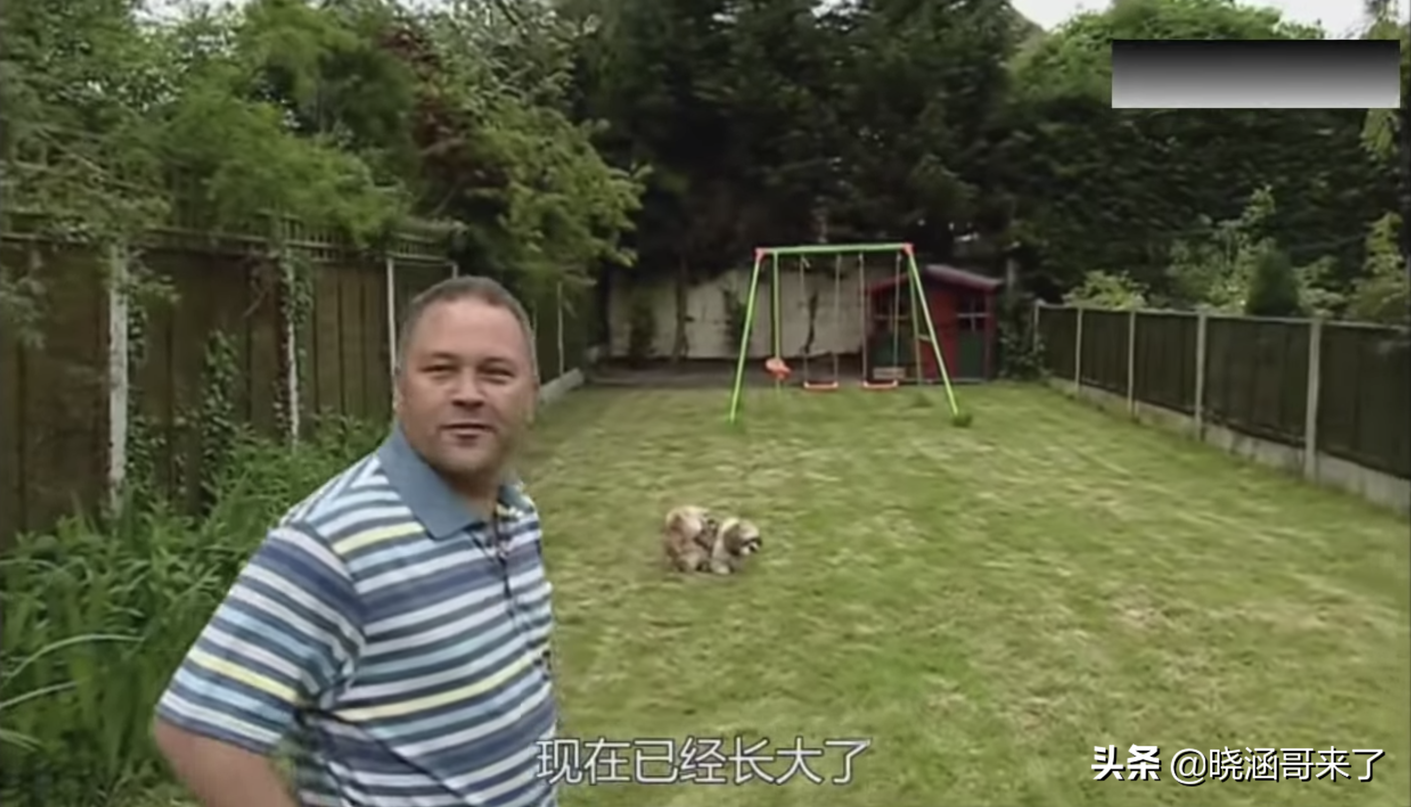 英国耗时56年，跟踪14个孩子的成长轨迹，决定人生命运的是什么？