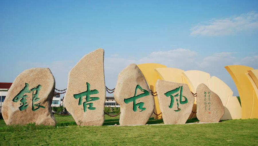 江苏泰兴市最小的镇,紧邻泰州高港区,拥有古银杏森林公园