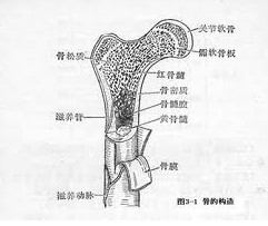 骨膜炎高发？最有效的治疗方法揭秘