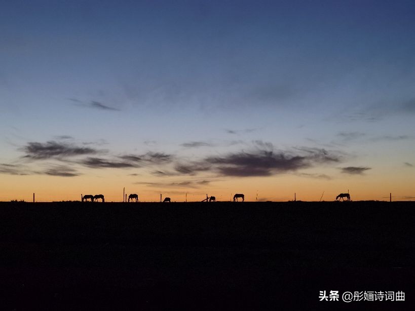 花在草原诗在心：金秋内蒙之旅古典诗词曲拾零悠情