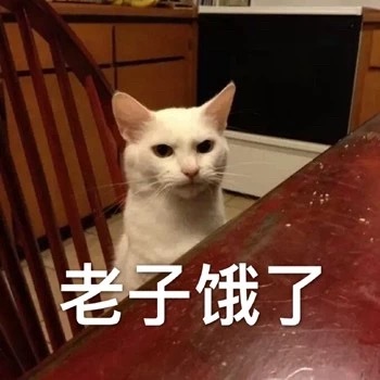 猫咪表情包：我饿啦