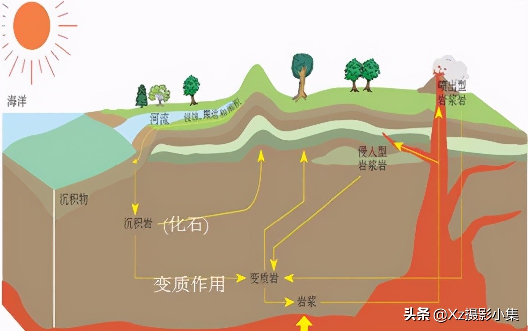 曾经的大连“蛇岛”，可能已经不再没人敢去，而是成了旅游景区？