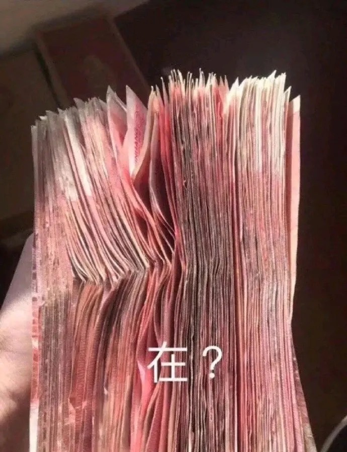 沙雕表情包更新：委屈猫猫在线卑微