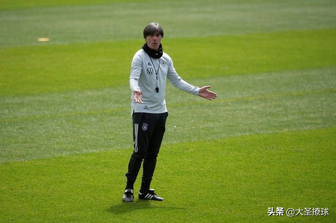 舍瓦也许符合沃特福德(德尚、舍瓦和曼奇尼：2020欧洲杯24队主帅的球员生涯谁最成功？)