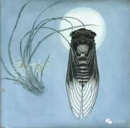 夏至话蝉：所有的等待，不仅是刹那绽放，而是充满期待和生生不息
