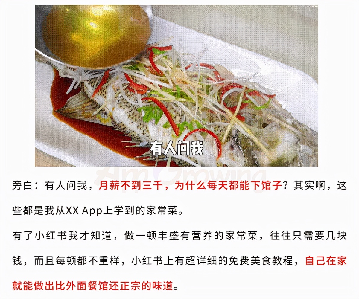 小红书 VS B站，流量平台广告投放观察