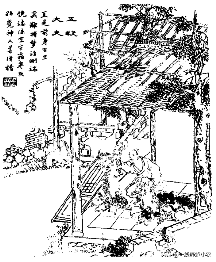 五羖大夫 黑兽 酆都御史