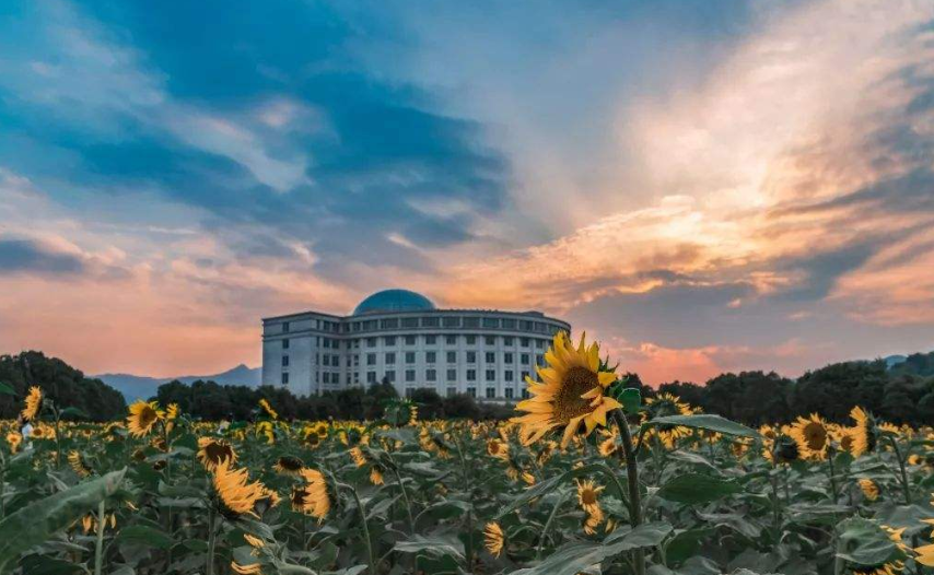 浙江将迎来一所双一流大学，总投资50亿，预计明年招生