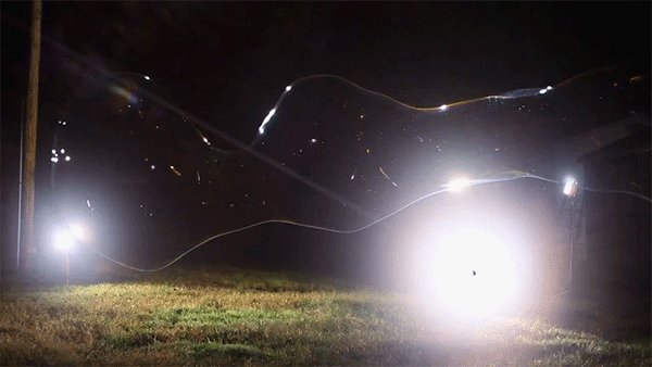 600_338gif 动态图 动图