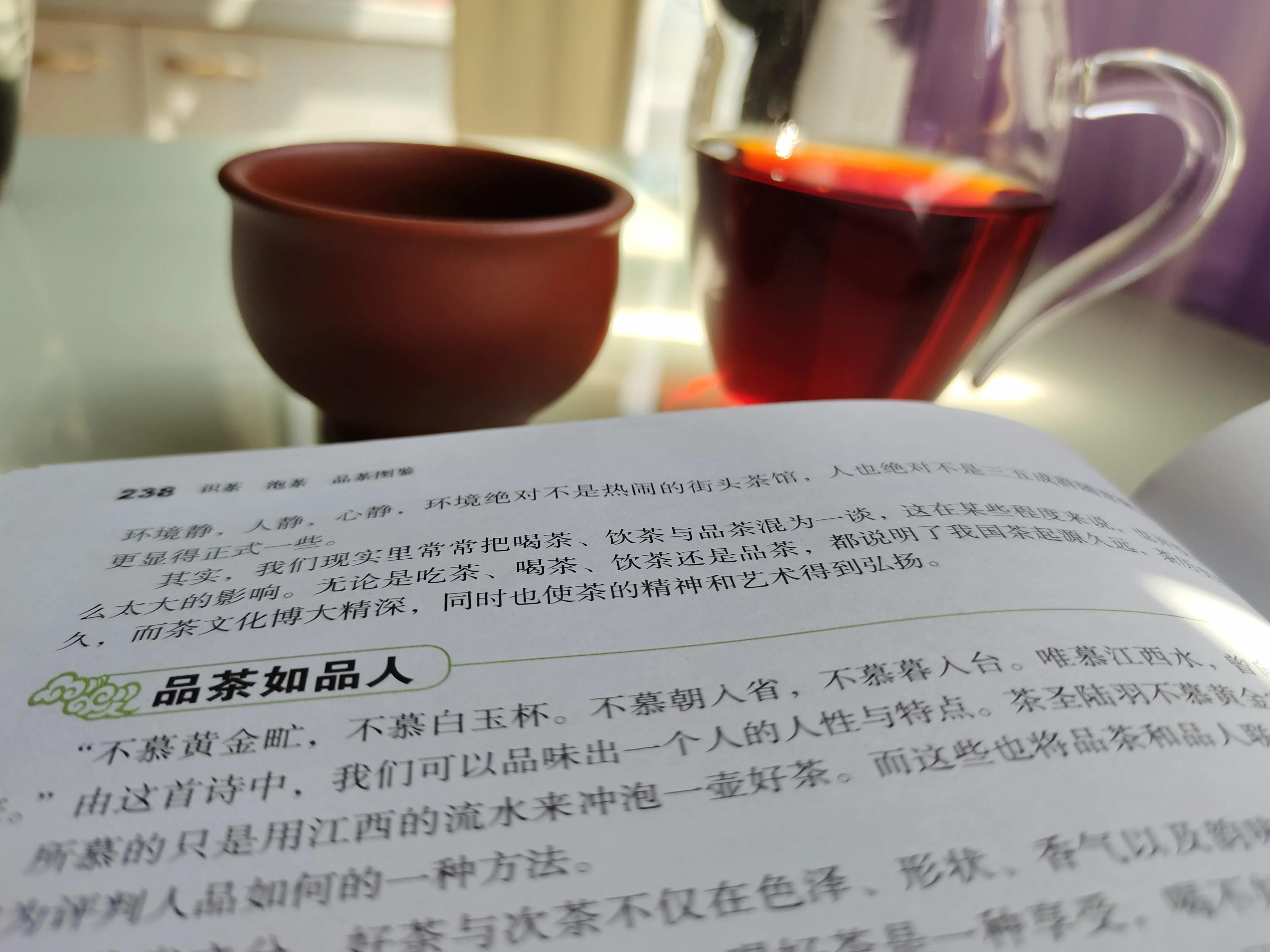 一盏茶,一本书,一世芳华