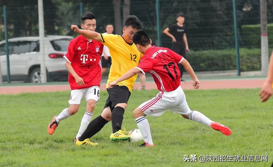 阳光正好丨多维度、高清图，带你一起了解咸阳职业技术学院