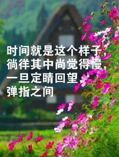 不必仰慕别人，你就是最美丽的风景；早安