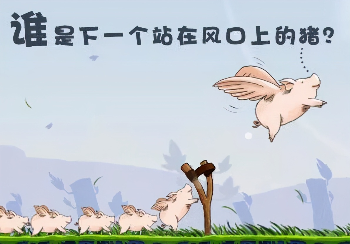 站在风口上,猪都能飞起来.