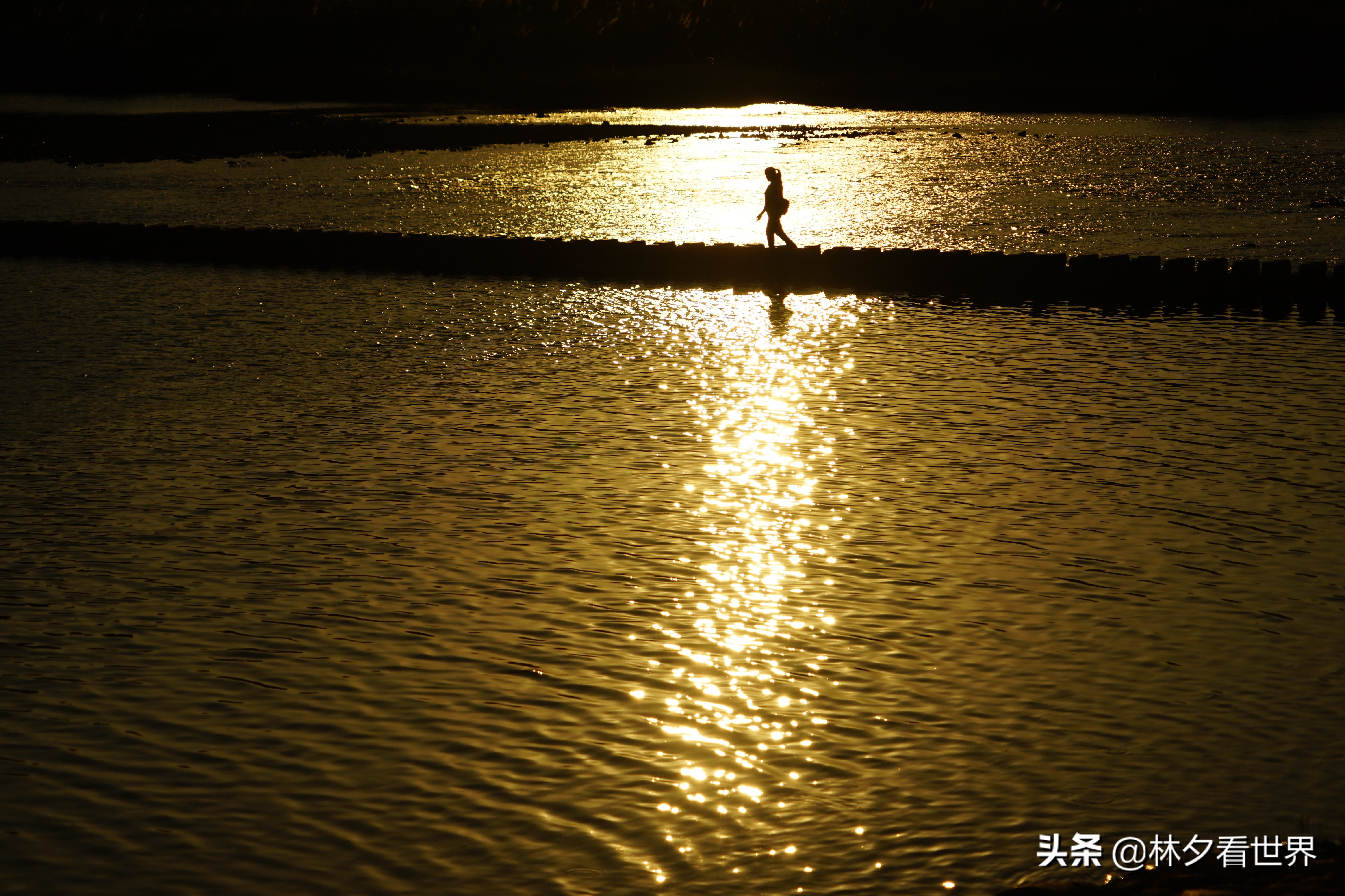 温州哪里好玩景点排名（温州市最好玩的6个景点）