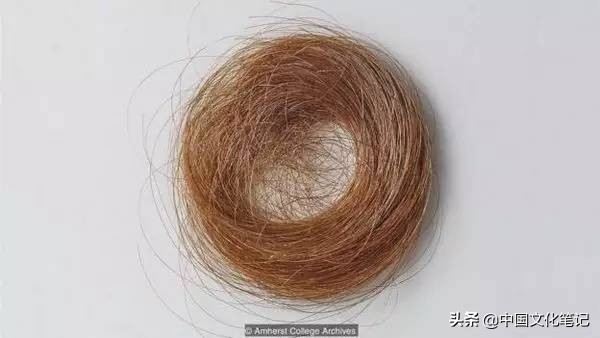 美国国宝级女诗人狄金森：闭门不出近三十年，能写诗就很幸福