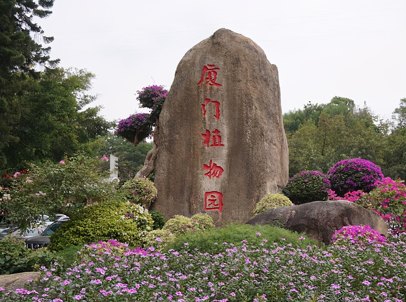 厦门大学旅游（玩遍世界）