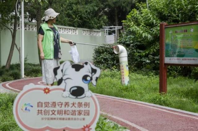 城市养狗需要注意哪些问题？