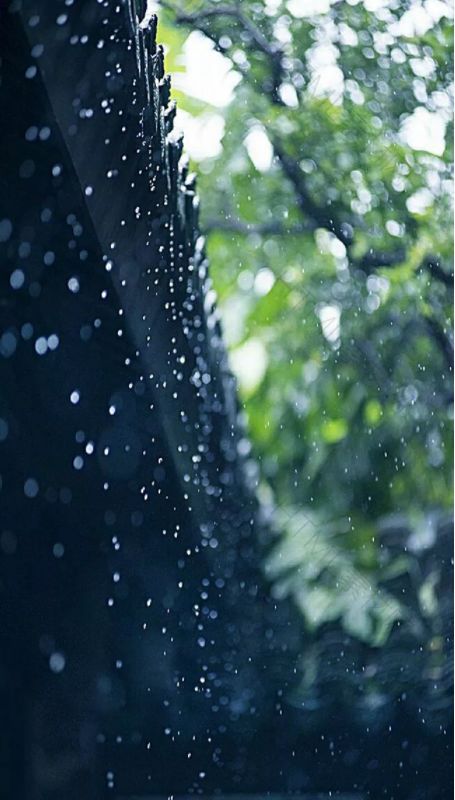 「诗词鉴赏」在夏日中听雨，唯美一段又一段的时光