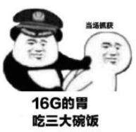 你被逮捕了表情包｜我要逮捕你，因为你偷走了我的心