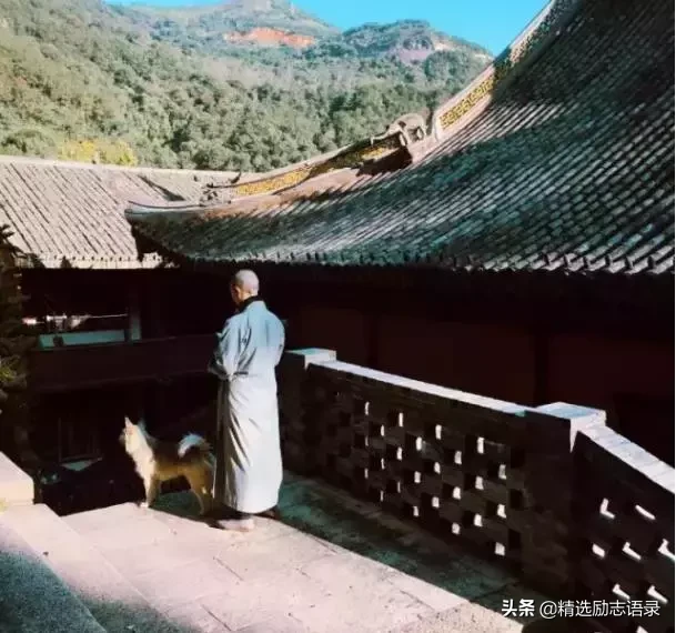 傻人有傻福，心简单者常得意外之喜