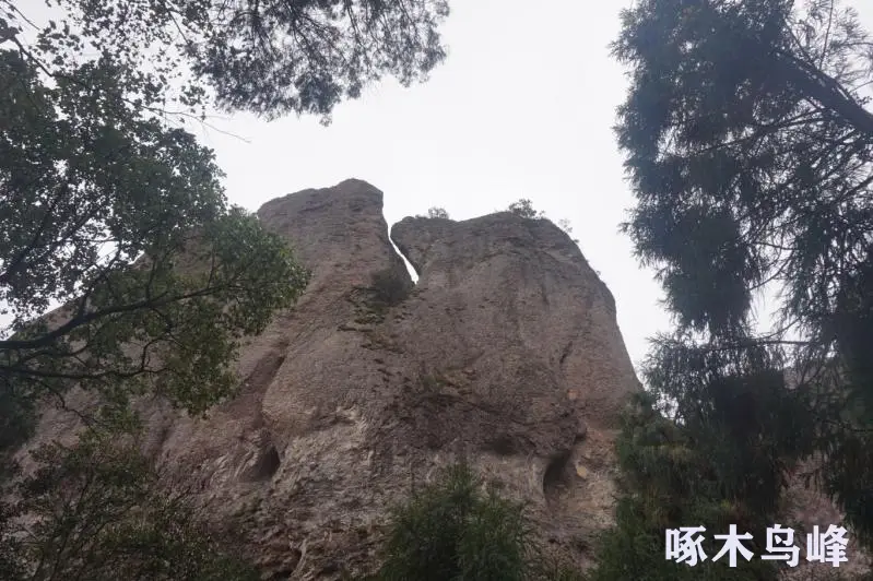 雁荡山在哪里哪个省（雁荡山景点介绍）