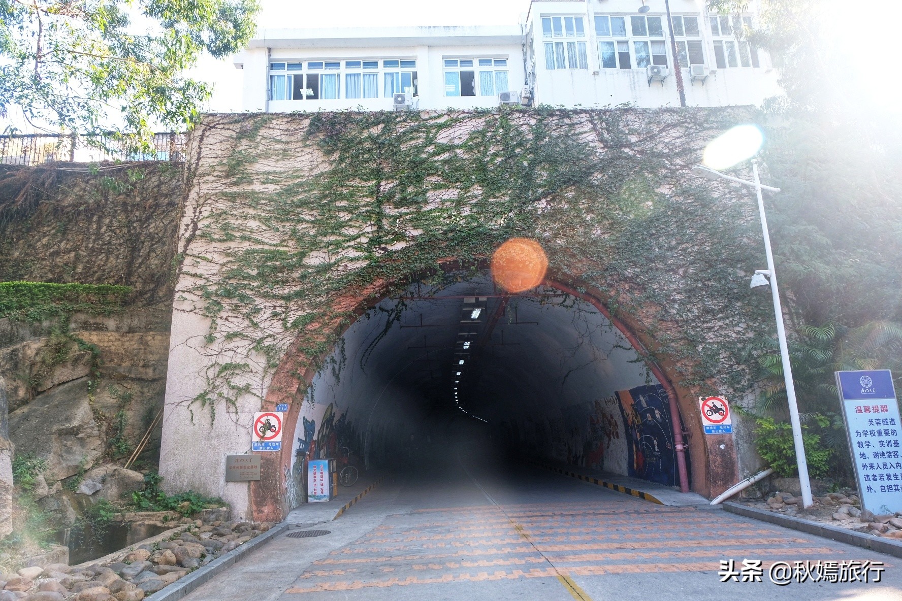 厦门这所临海而建大学，校园优美，沙滩迷人，被誉为中国最美大学