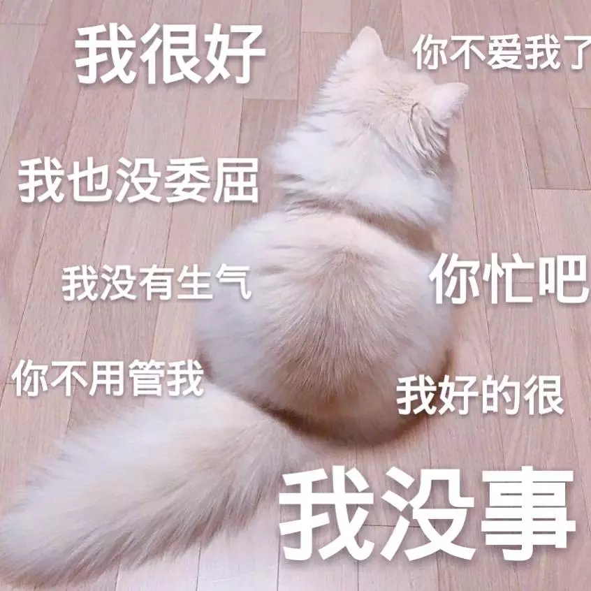 撒娇专用的猫咪表情包给你个机会偷亲我