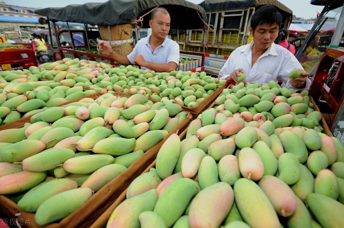 18.中国水果大省