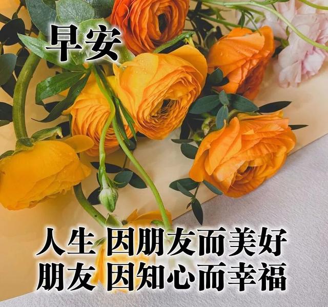 清晨和你一起共勉的早安句子，抖音很火带字带问候的早安美图