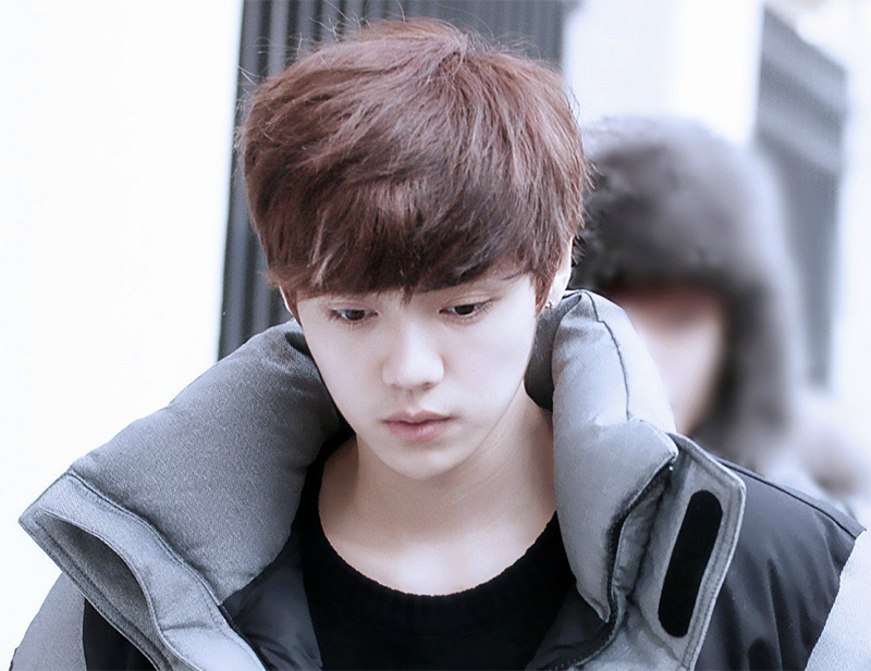 继苹果头后,鹿晗又留栗子头,先不说羡慕发量,就担心栗子会涨价