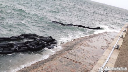 专家称三峡水怪系塑料袋(“水怪”现身三峡地区？专家：可能是被挂住的黑塑料袋)