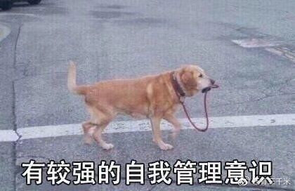 大学愿景九宫格怎么写（如何通过自我管理达到高效）