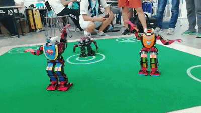 再见，宜宾职业技术学院