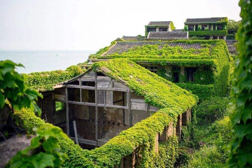 浙江一村落走红，为了“钱”途整村行动，无人居住成“鬼城”