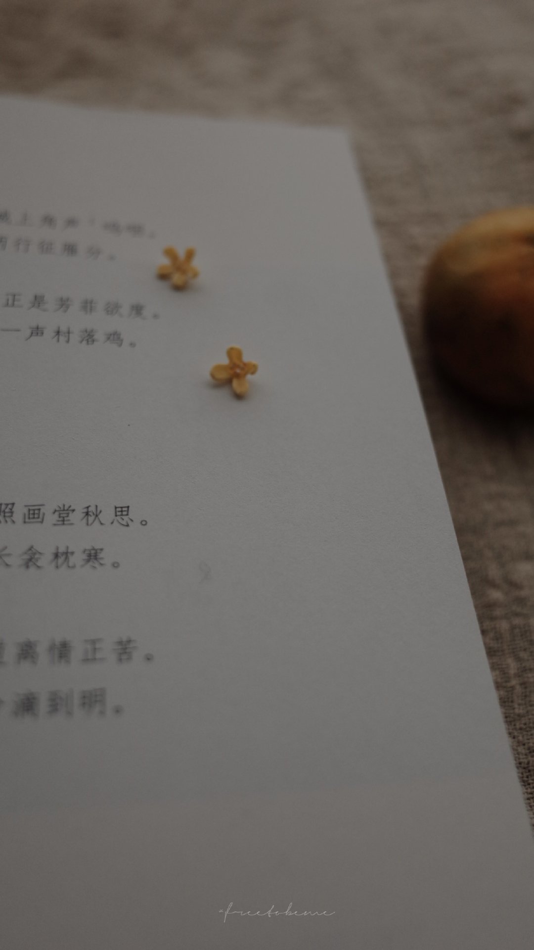 写进心底的句子，找到心里安慰