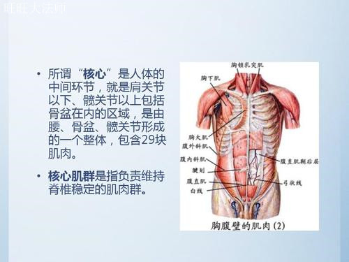 站姿腹肌轮怎么练？你只需要3个技巧，以后腹肌轮就不用跪着做了