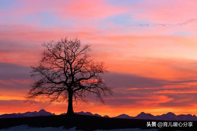 幼儿园丨幼师有爱 句句 暖心 经典语录（转载）