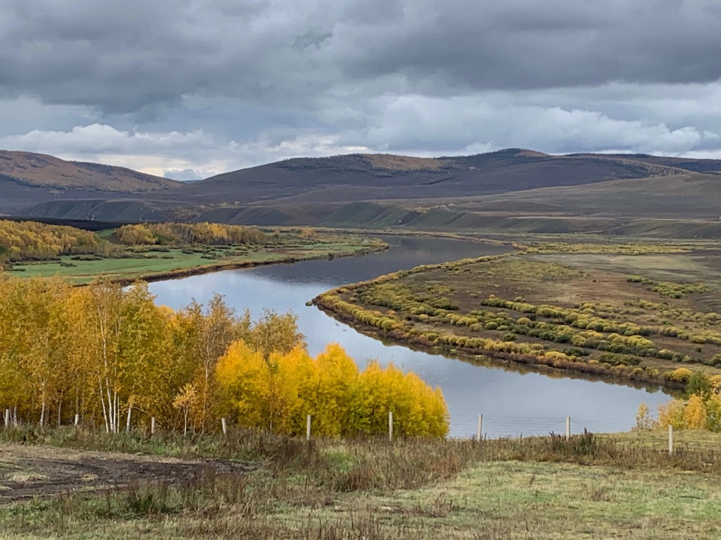 一人一狗一猫的诗和远方,在路上,去追寻不一样的风景和人生