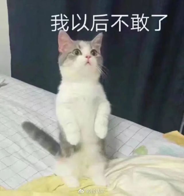 “Say uncle”的意思可不是“叫叔叔”！用错可真要丢脸了