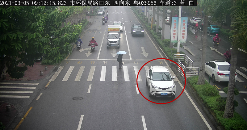 交通违法曝光！