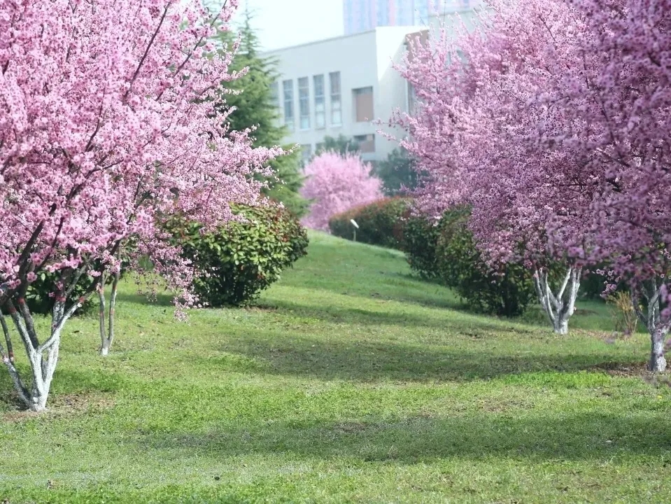 6个专业通过工程教育认证！陕西这所高校跻身“全国百强”