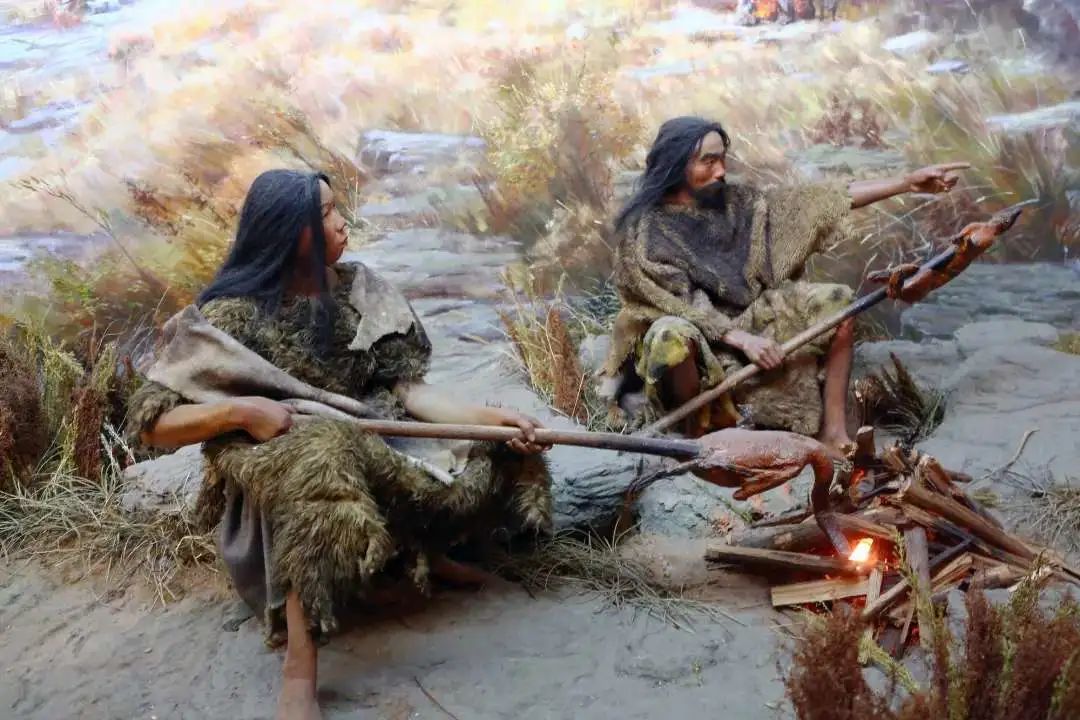 它是如何见证人类的"龌龊世界"的?