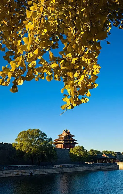 11月最佳旅行地推荐,每一个都值得去